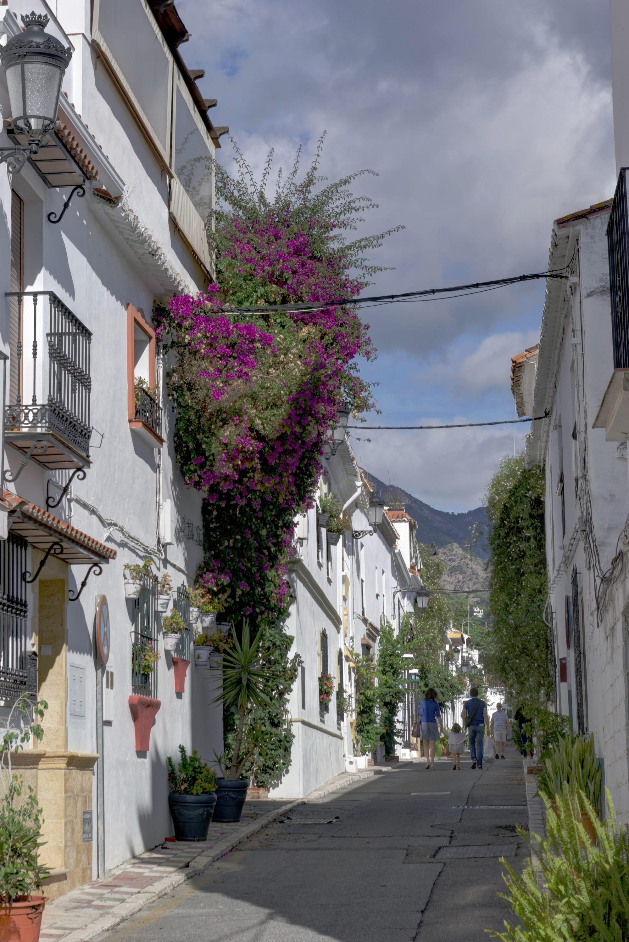 Calle Lobatas in Marbella's old town: a narrow lane of whitewashed houses with wrought-iron balconies, pot plants and purple bougainvillea, mountains in the distance